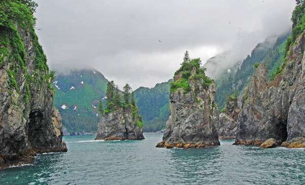 Kenai Fjords NP Alaska