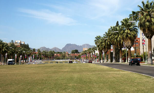 Arizona University Tucson
