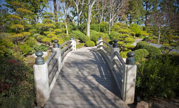 Earl Burns Miller Japanese Garden, Long Beach Californie
