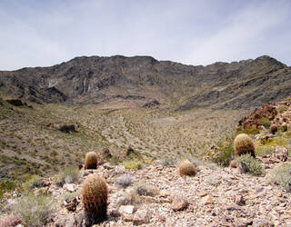 Nopah Range Wilderness Area Nevada