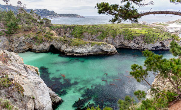 Point Lobos Reserve aan Highway 1 Californië