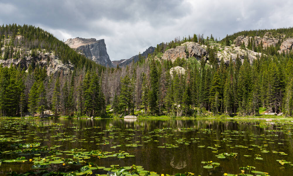 Nymph Lake in Rocky Mountain National Park, Colorado