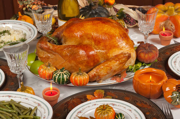 Thanksgiving USA Turkey