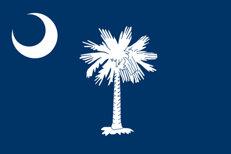 Vlag South Carolina