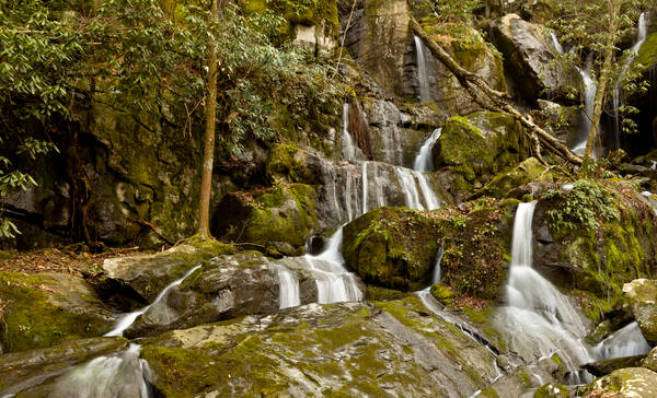 Roaring Fork Motor Trail, Great Smoky Mountains National Park