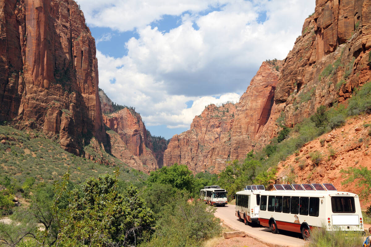 bus tour zion national park