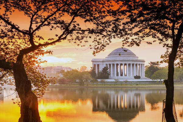 Het Jefferson Memorial in Washington DC