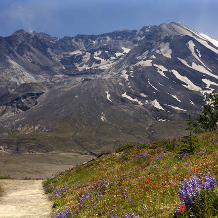 Mount Saint Helens in Washington State
