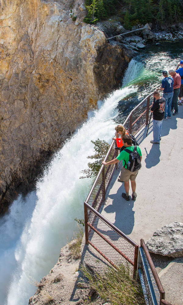 Lower Falls, Yellowstone Wyoming