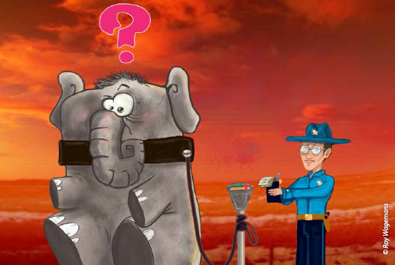 Opmerkelijke wetten in de VS: Verboden om olifanten aan parkeermeters vast te binden