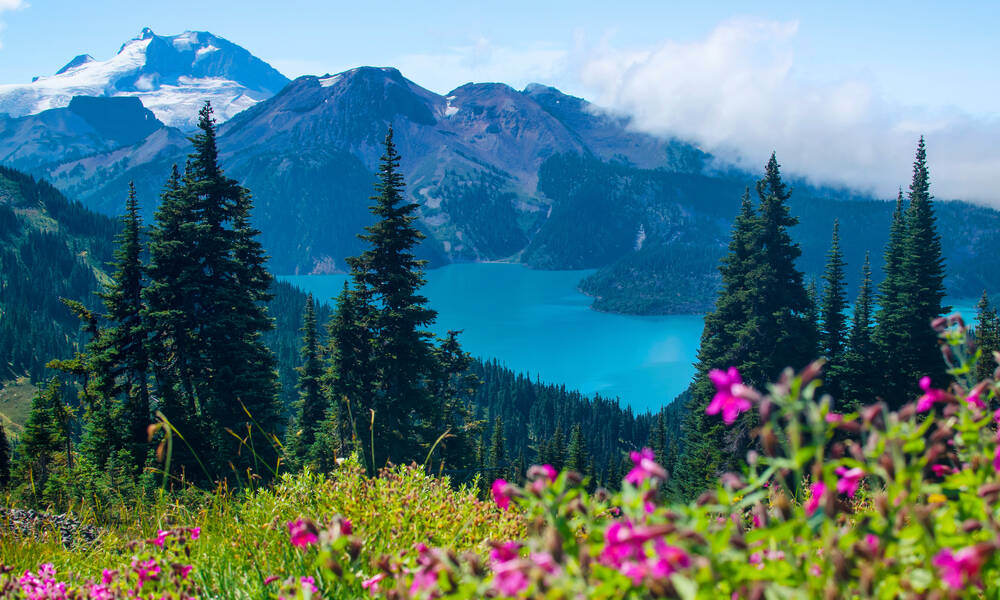 Garibaldi Provincial Park, British Columbia
