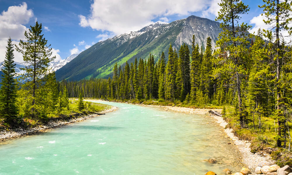 Vermilion River in Kootenay National Park