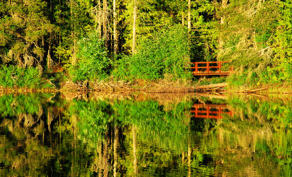 Spider Lake Provincial Park bij Parksville in British Columbia