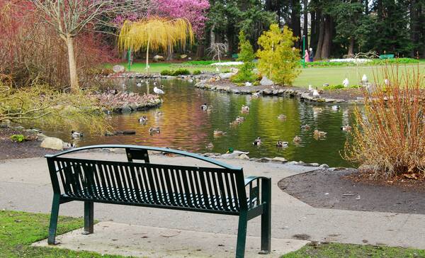 Beacon Hill Park in Victoria, BC