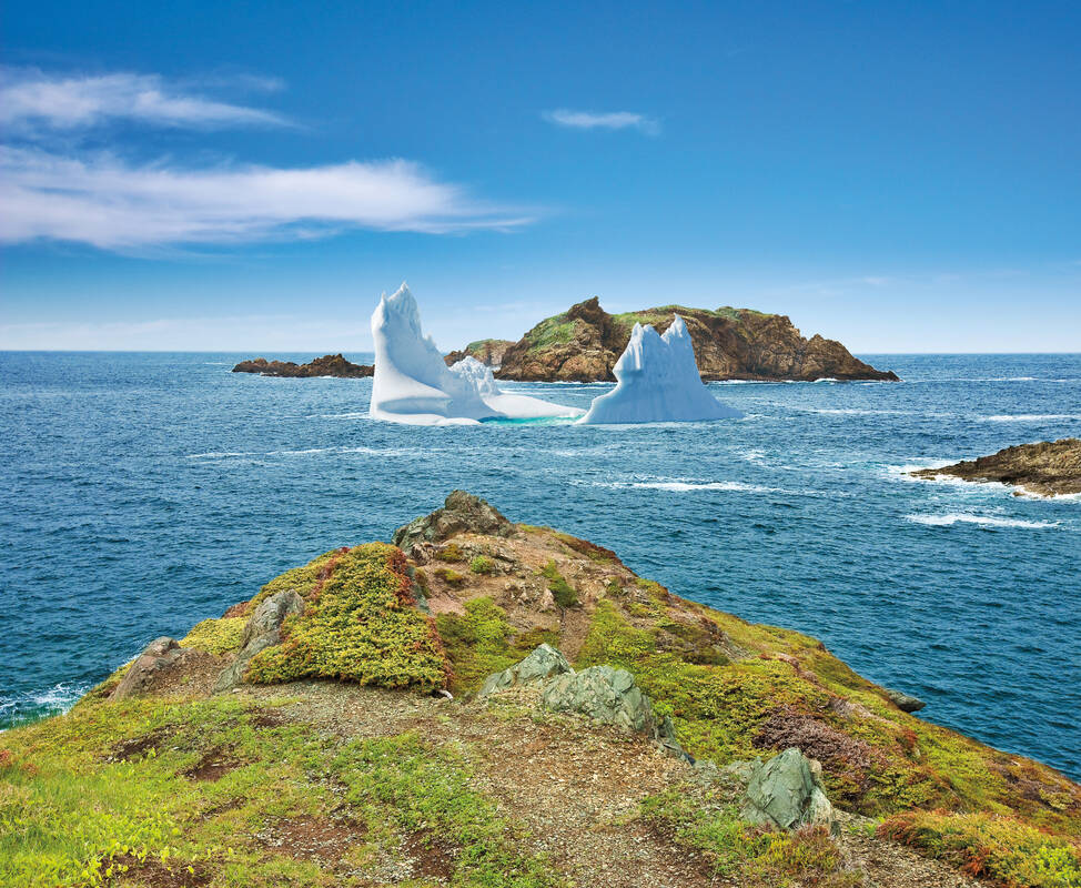 places to visit in twillingate nl