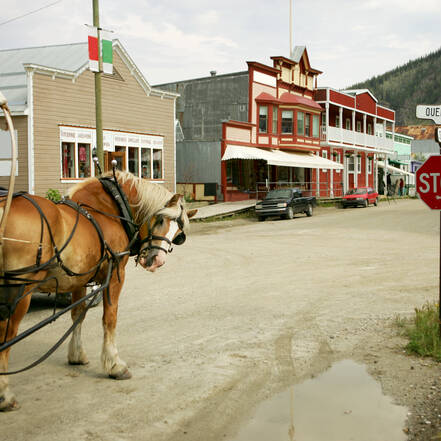Waan je terug in de tijd in Dawson City.
