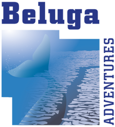Maatwerkspecialist Beluga Adventures