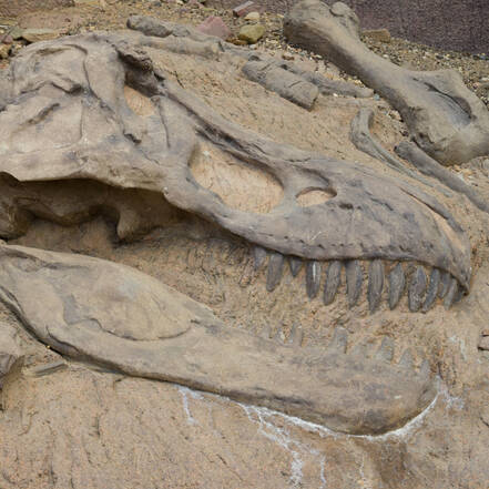 Fossiel van dinosaurus, Drumheller