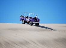 Oregon Dunes buggy ride