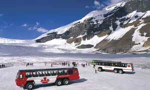Ice Explorer Excursie Rocky Mountains Canada