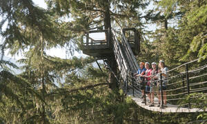 TreeTrek Canopy Walk, Whistler
