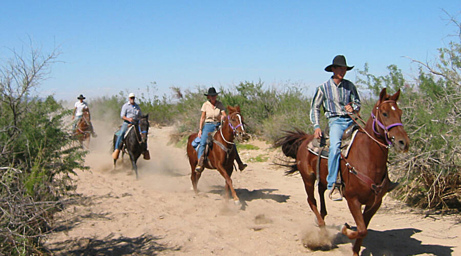 Stage Coach Trails Ranch