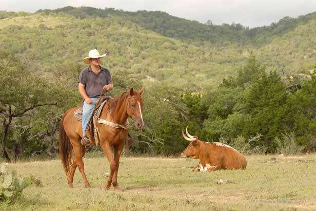 ranch dixie dude texas