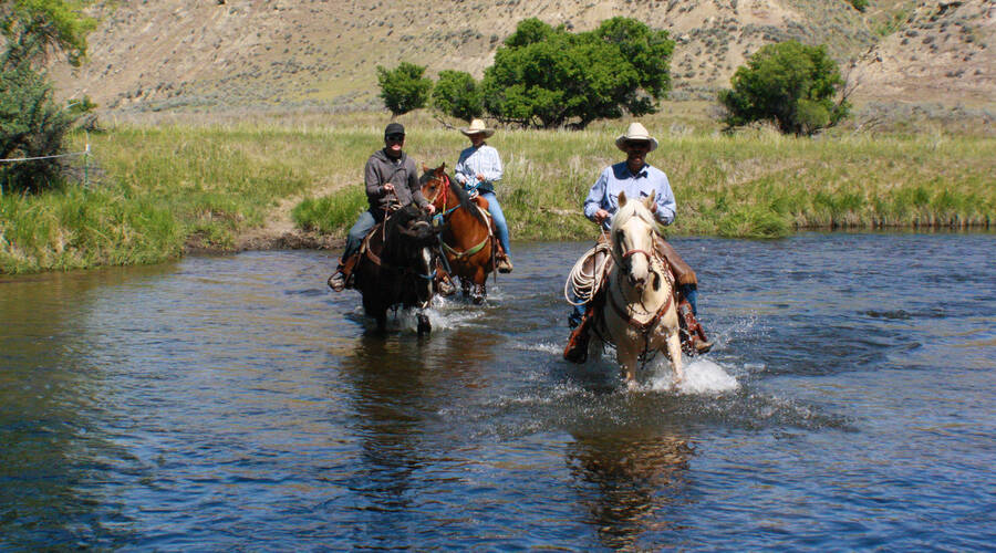 Wyoming Ranch at Ucross