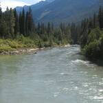 Beaver river in Glacier NP 