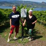 Deep Roots winery met top cat wine tours.